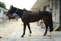 ����õ�� (SEONGPACHEONHA) ����