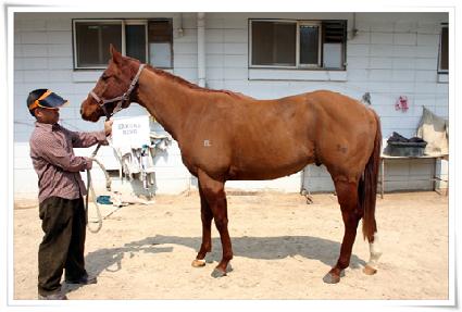 ������ŷ ����