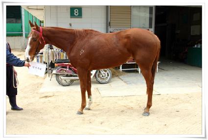 �������� ����