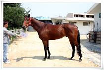 �����ݷ��� (COIN COLLECTOR) ����