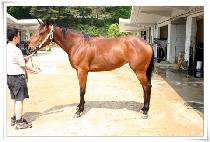 �ͼ��Ŵ��ŷ�Ʈ (EXCEPTIONAL TALENT) ����