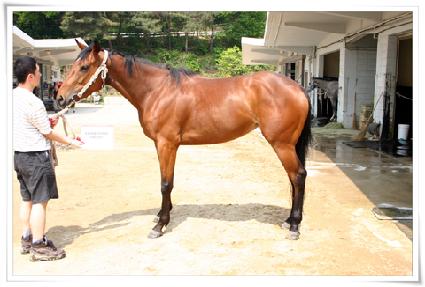 �ͼ��Ŵ��ŷ�Ʈ ����