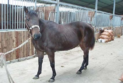 ī����Ĺ ����