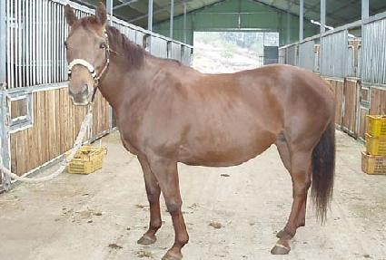 ������̾Ƹ�己 ����