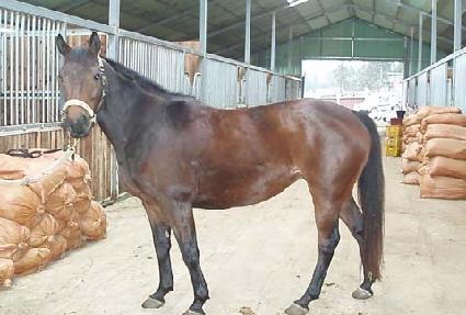 Ŭ�� ����