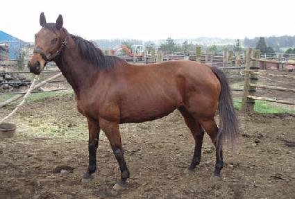 �ҽ�����Ʈ ����