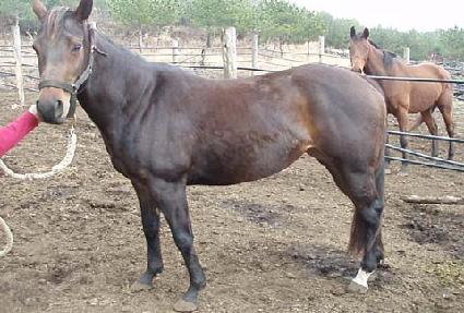 �׷��̽��� ����