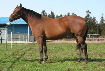 ���Ƴ������� ����