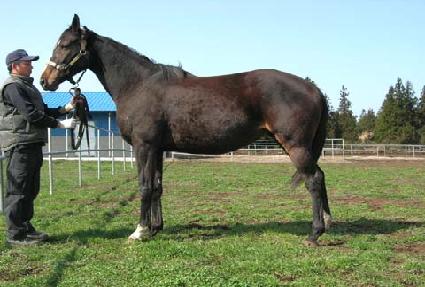 ��糪������ ����