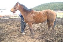 FIVE ALIGNED picture