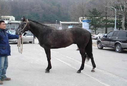 ������Ʈ ����