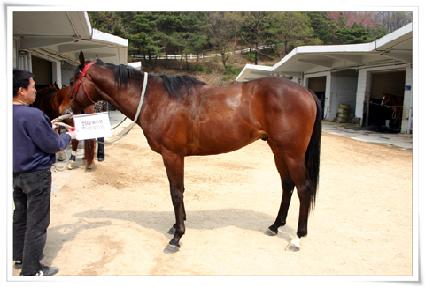 �������� ����