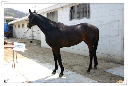 �п�Ű����� ����