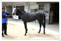 ���ǵ�����Ʈ (TORPEDO MAST) ����