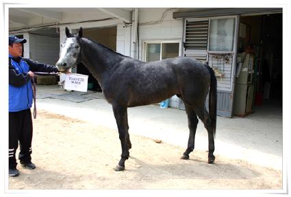 ���ǵ�����Ʈ ����