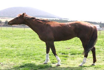 �������н� ����