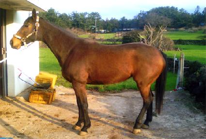 ����Ƽ�ú����� ����