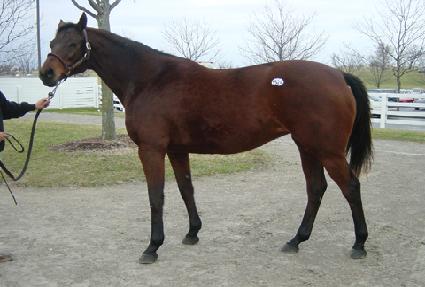 ����ũ ����