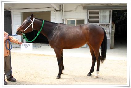 �����ٿ� ����