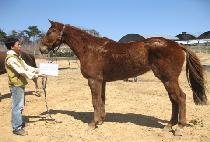 �ͽ�Ŭ��ú���� (EXCLUSIVE OFFER) ����