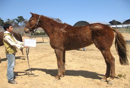 �ͽ�Ŭ��ú���� ����