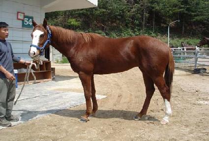 ������ƶ��� ����