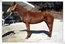 �������� (UJEONGMANSE) ����