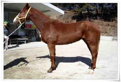 �������� ����