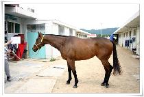 ��Ʈ�� (ENTRO) ����