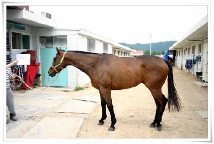 ��Ʈ�� ����