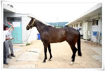 �������� (GAMADONGJA) ����