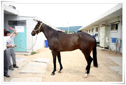 �������� ����