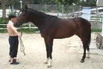 ����Ĺ (ECTON CAT) ����