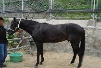 �ѹ������� (NUMBER ONE SELLER) ����