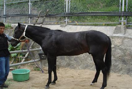 �ѹ������� ����