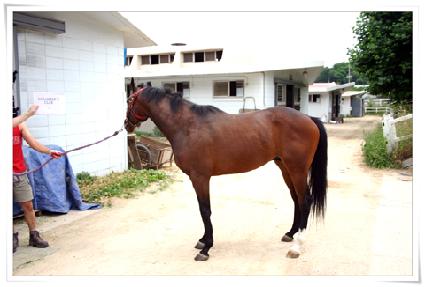 ü��ǽ�Ŭ�� ����