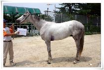 �տ���II (SON O GONG) ����