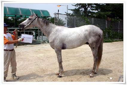 �տ���II ����