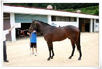 ���̳��������� (FINAL PRIZE) ����