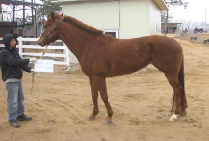 �Ŀ����ǳ� ����