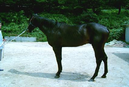 ��������Ʈ ����