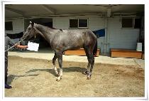 ����Ʈ���ݵ� (PERPECT REFUND) ����