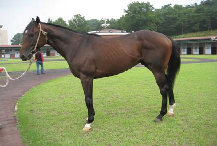 ��ġũ��� ����