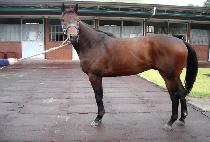 �̽��ͷ��������� (MR. LOVING LIFE) ����