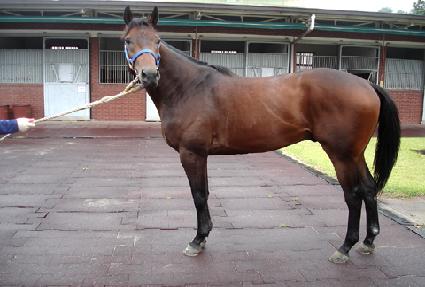 �̽��ͷ��������� ����