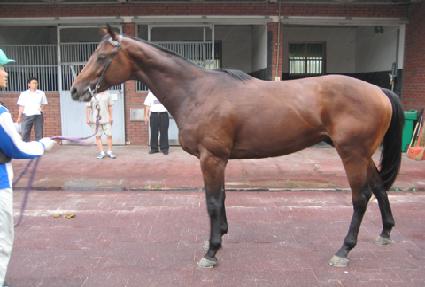 Ʈ�縮�� ����