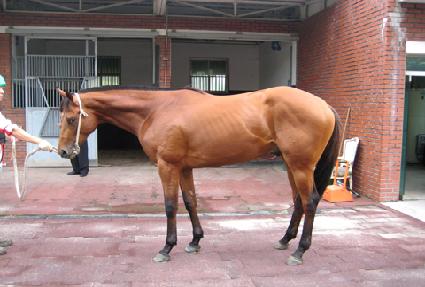 �𵨽�Ʃ��Ʈ ����