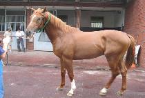 ��׵�����Ʈ (MORNING DELITE) ����