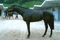 ���� (WRAP UP) ����