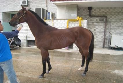 Ŭ������Ÿ ����